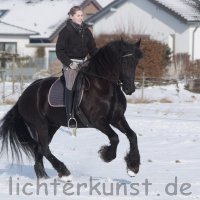 Pferd und Reiter 1101